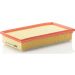 MANN-FILTER C 29 124 Luftfilter