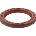 Elring Dichtring 466.042