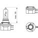 Glühlampe, Park-/Positionsleuchte 1 987 301 099 Glühlampe, Park-/Positionsleuchte 1 987 301 099