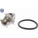Thermostat, Kühlmittel V46-99-1387