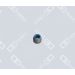 OE Germany Dichtring, Ventilschaft 01 3006 400000 OE Germany Dichtring, Ventilschaft 01 3006 400000
