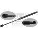 FEBI BILSTEIN 31641 Gasfeder, Koffer-/Laderaum