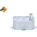 NRF Ölkühler, Motoröl EASY FIT 31788