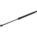 FEBI BILSTEIN 28081 Gasfeder, Koffer-/Laderaum