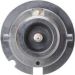 BOSCH Glühlampe, Fernscheinwerfer Xenon HID WS 1 987 302 904
