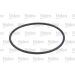 Valeo Kraftstofffilter 587901