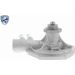 Vaico Wasserpumpe Expert Kits + V40-50050