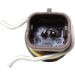 Sensor, Kühlmitteltemperatur 0905477