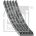 FEBI BILSTEIN 28885 Keilrippenriemen