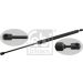 FEBI BILSTEIN 27672 Gasfeder, Koffer-/Laderaum
