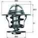 Mahle Thermostat, Kühlmittel BEHR TX 13 80D