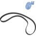 Blue Print Zahnriemen ADT37520