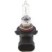 Glühlampe, Hauptscheinwerfer 1 987 301 131 Glühlampe, Hauptscheinwerfer 1 987 301 131