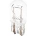 Glühlampe, Park-/Positionsleuchte 1 987 301 079 Glühlampe, Park-/Positionsleuchte 1 987 301 079