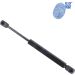 Blue Print Gasfeder, Koffer-/Laderaum ADN15820