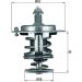 Mahle Thermostat, Kühlmittel BEHR TX 71 82D