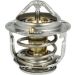 Thermostat, Kühlmittel 725284