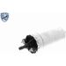 Kraftstoffpumpe V46-09-0001
