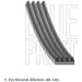 Blue Print Keilrippenriemen AD04R1615