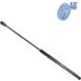 Blue Print Gasfeder, Koffer-/Laderaum ADG05857