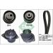 INA Wasserpumpe + Zahnriemensatz 530 0055 30