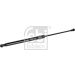 FEBI BILSTEIN 180356 Gasfeder, Koffer-/Laderaum