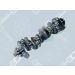 OE Germany Kurbelwelle 01 0300 906001 OE Germany Kurbelwelle 01 0300 906001