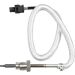 Sensor, Abgastemperatur 0894833