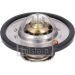 Thermostat, Kühlmittel 193096 Thermostat, Kühlmittel 193096