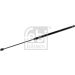 FEBI BILSTEIN 171788 Gasfeder, Koffer-/Laderaum
