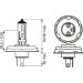 BOSCH Glühlampe Pure Light BL 1 987 301 021