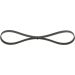 BOSCH Keilrippenriemen 1 987 947 808