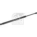 FEBI BILSTEIN 177357 Gasfeder, Koffer-/Laderaum