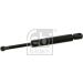 FEBI BILSTEIN 22622 Gasfeder, Motorhaube