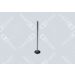 OE Germany Einlassventil 01 0520 471002 OE Germany Einlassventil 01 0520 471002