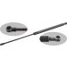FEBI BILSTEIN 01188 Gasfeder, Koffer-/Laderaum