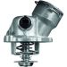 Thermostat, Kühlmittel TM 29 100D Thermostat, Kühlmittel TM 29 100D