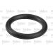 Valeo Kraftstofffilter 587555