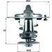 Mahle Thermostat, Kühlmittel BEHR TX 72 85D