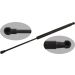 FEBI BILSTEIN 39266 Gasfeder, Koffer-/Laderaum