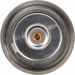 Thermostat, Kühlmittel TH13380G1