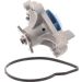 SKF Wasserpumpe VKPC 83812