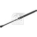 FEBI BILSTEIN 31660 Gasfeder, Koffer-/Laderaum
