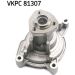 SKF Wasserpumpe VKPC 81307