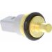 Sensor, Kühlmitteltemperatur V10-99-0001