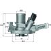Mahle Thermostat, Kühlmittel BEHR TI 151 80