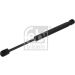 FEBI BILSTEIN 36211 Gasfeder, Motorhaube