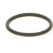 BOSCH Dichtring F 00V C38 042
