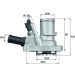 Mahle Thermostat, Kühlmittel BEHR TI 144 88