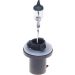 Glühlampe, Nebelscheinwerfer 1 987 302 024 Glühlampe, Nebelscheinwerfer 1 987 302 024